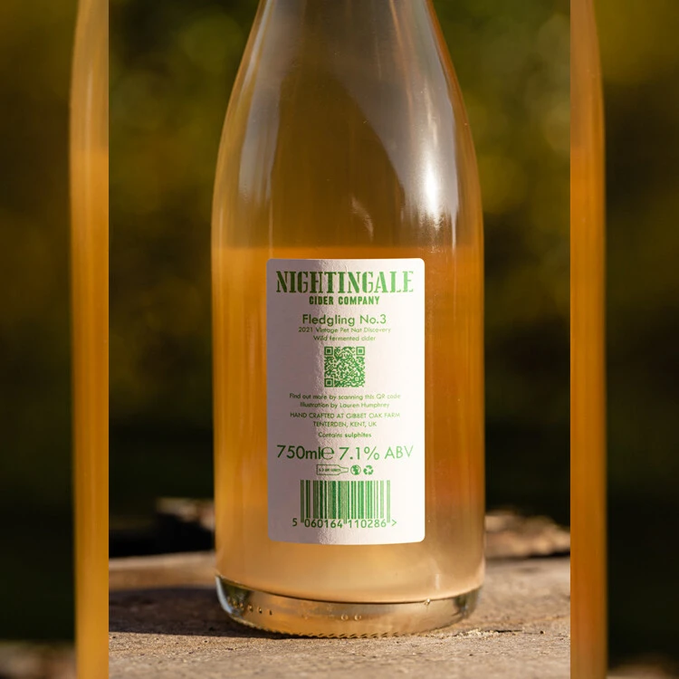 Nightingale Fledgling No.3 5 Nightingale Fledgling No.3 - Image 3